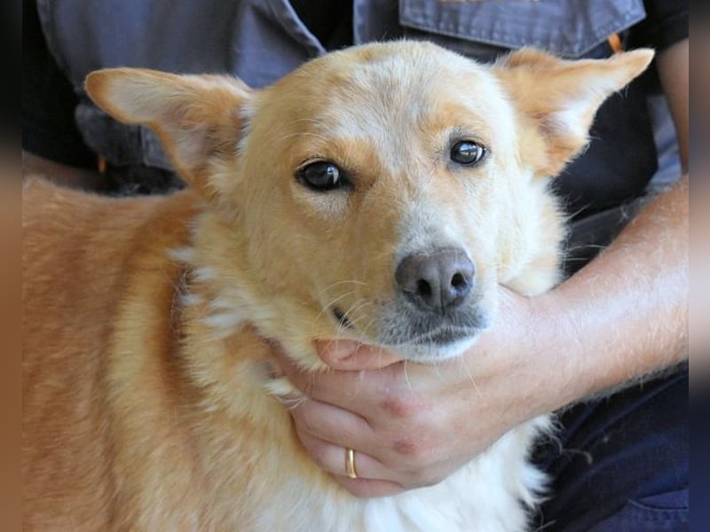 Ariana - lange sitzen sie schon da und haben es schwer