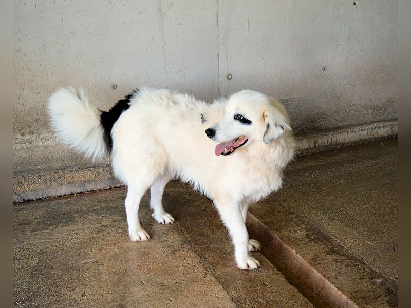 Peeke - Es ist höchste Zeit! Peeke - Es ist höchste Zeit!