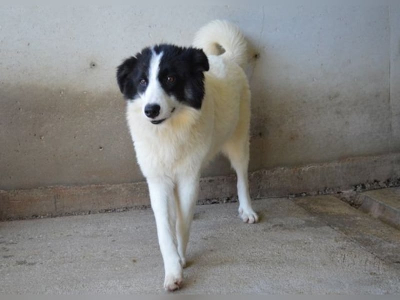 Ghazala - Noch ein bisschen scheu, aber voller Neugier aufs Leben