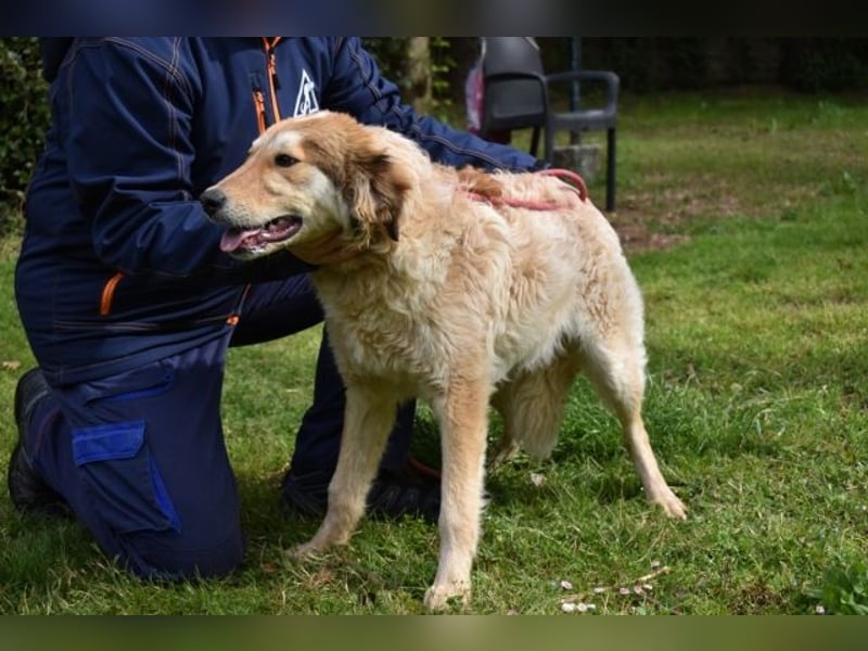 Ligorio und seine Geschwister sind gewachsen