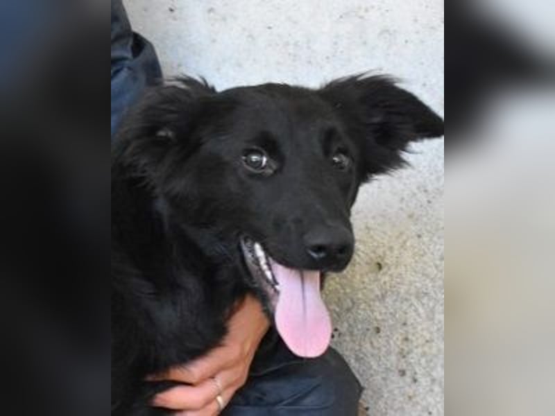 Nerelina - Das Märchen von den fünf Schwestern