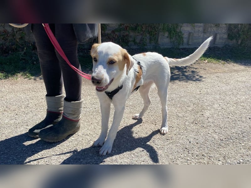 Wafer - Die leise Hoffnung, dass etwas Besseres kommt