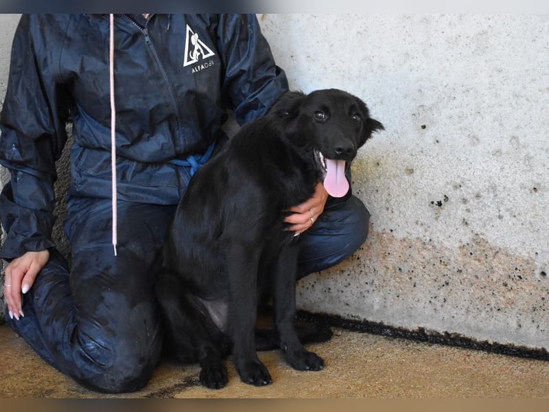 Nerelina - Das Märchen von den fünf Schwestern