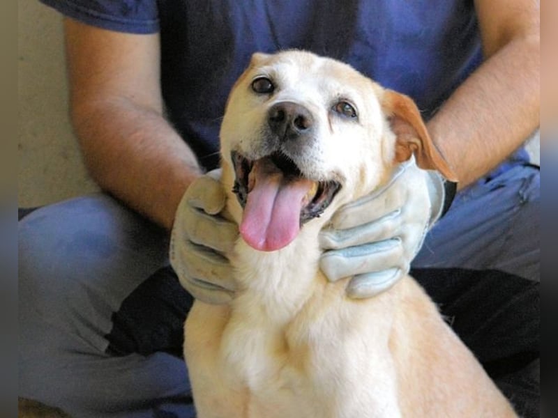 Jimmy - SOS - muss erstmal durchatmen