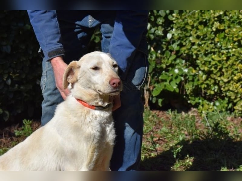 Hadrienne - einmal nur Wärme spüren