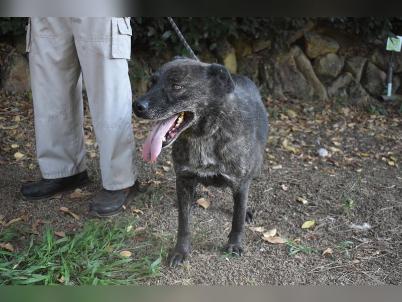 Fareeda - Wo die Schmetterlinge wohnen