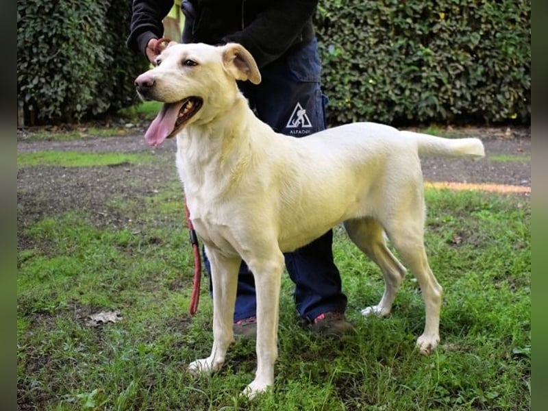 Hadrienne - einmal nur Wärme spüren