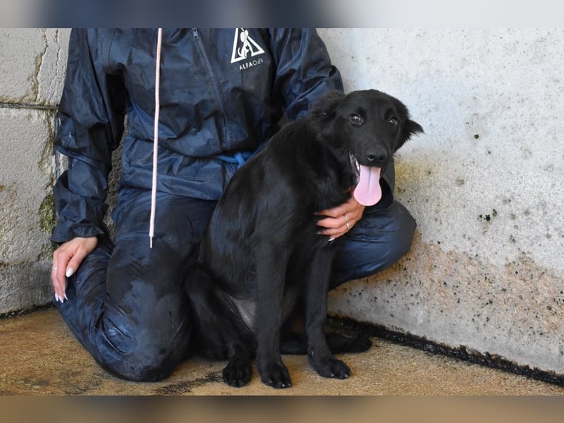 Nerelina - Das Märchen von den fünf Schwestern