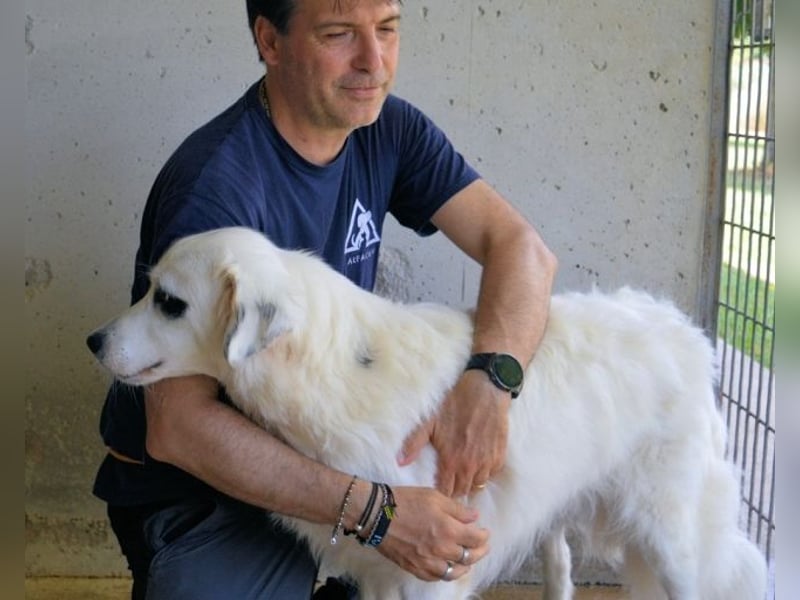 Peeke - Es ist höchste Zeit! Peeke - Es ist höchste Zeit!