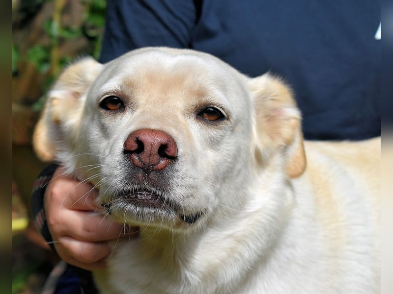 Ulbrecht - Ein kurzer Hauch von Gras