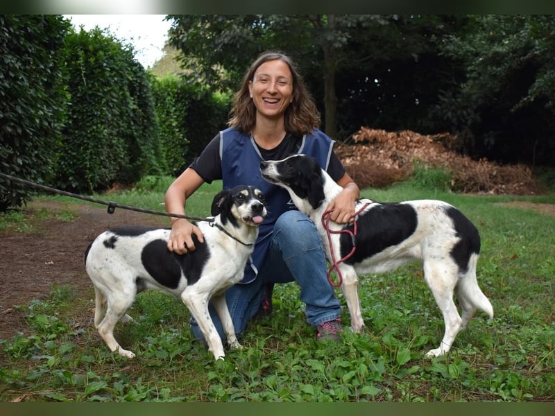 Ericka - NOTFALL - Wie viele Leben brauchst du?