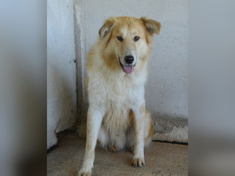 Lauritz - sucht seinen Platz im Leben Lauritz - sucht seinen Platz im Leben