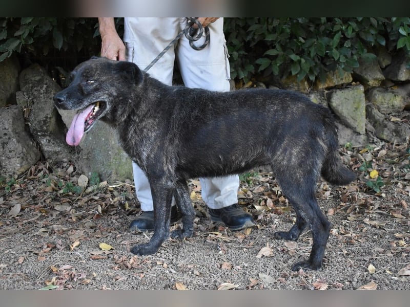 Fareeda - Wo die Schmetterlinge wohnen