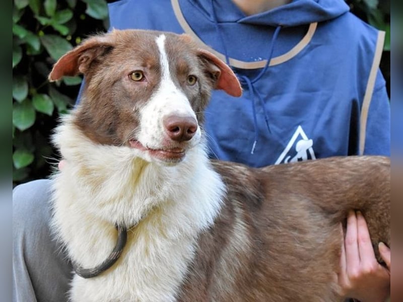 Carissa - Es war ein kalter Abend im späten Herbst ...