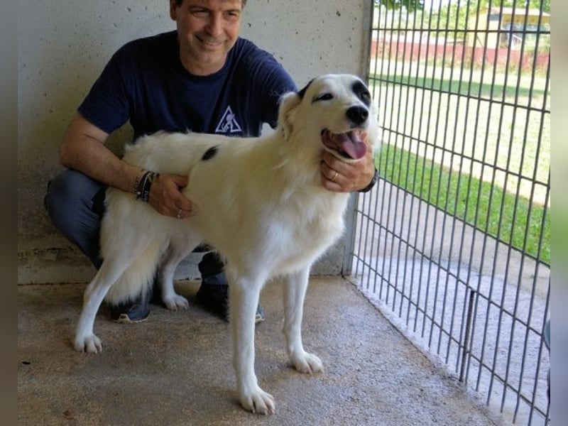 Pattie - Pattie im Vergessen