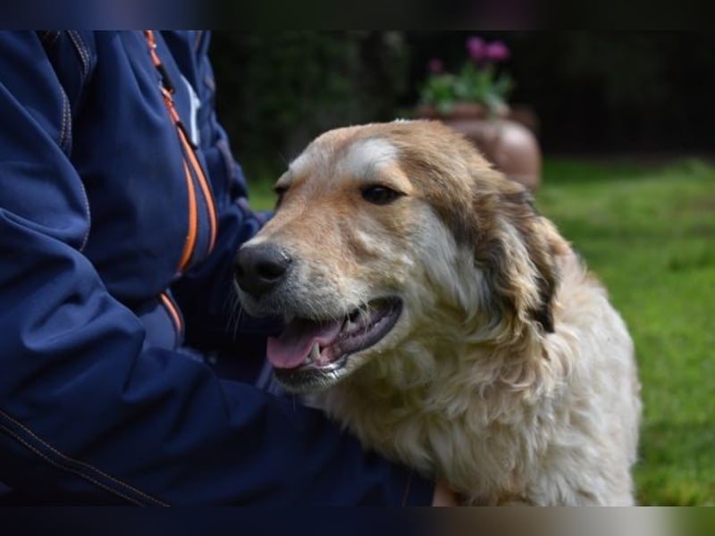 Ligorio und seine Geschwister sind gewachsen