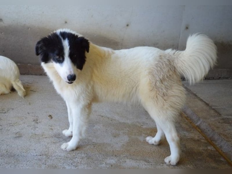 Ghazala - Noch ein bisschen scheu, aber voller Neugier aufs Leben