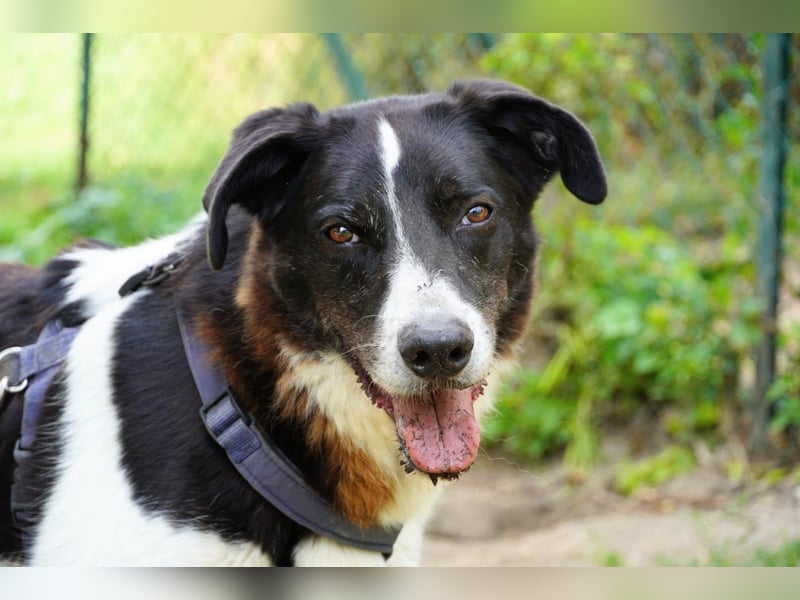 Coraggio - Schritt für Schritt ins Leben zurück