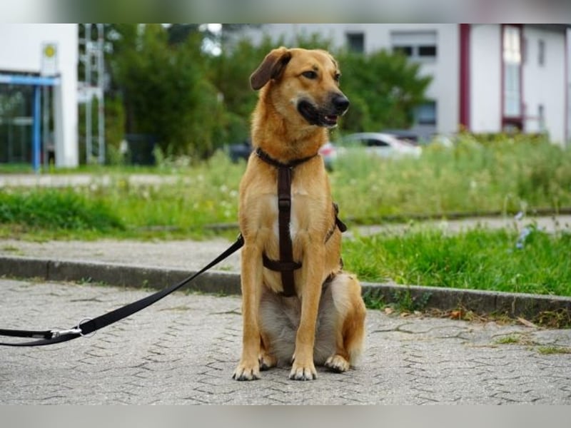 Rihanna - Es hat ihr nichts genützt