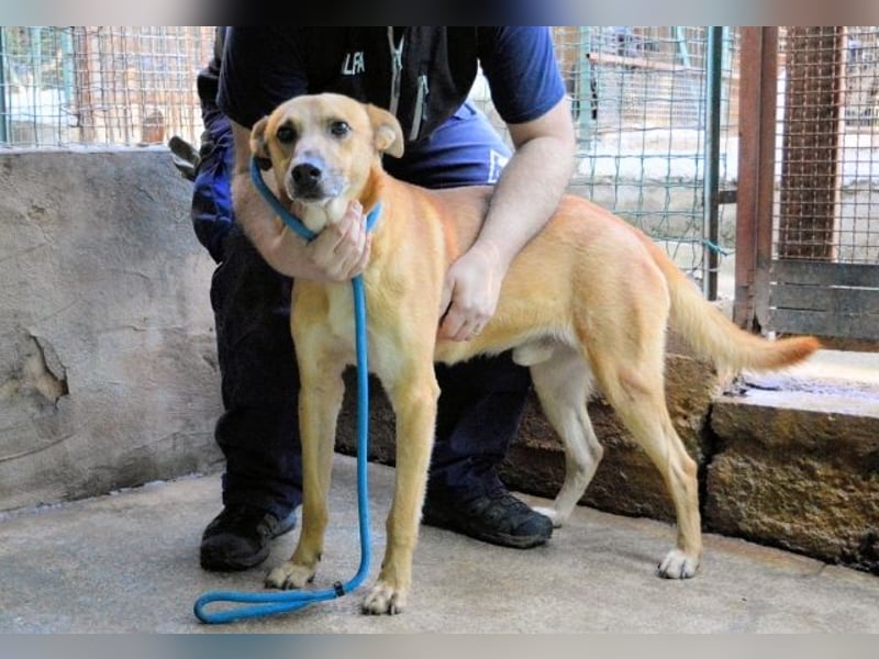 Zaccheo - ist im besten Alter