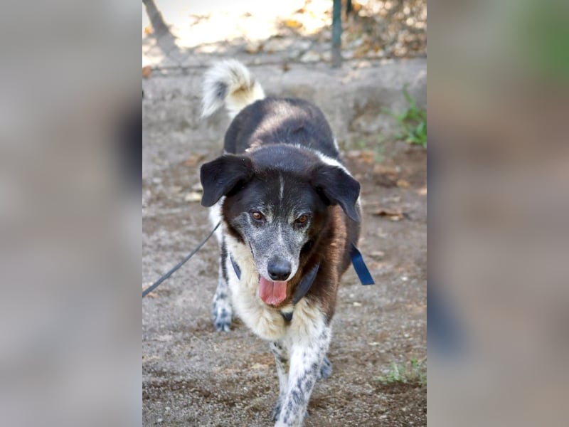 Cambiamento - lasst uns sein Leben verändern