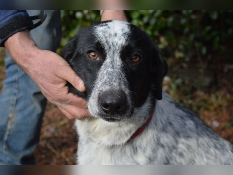 Flicka - möchte noch viel erleben