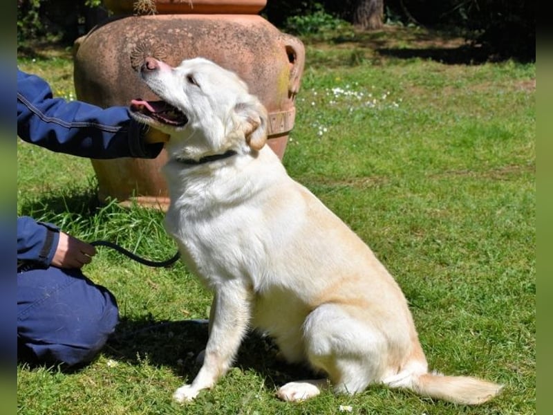 Ulbrecht - Ein kurzer Hauch von Gras