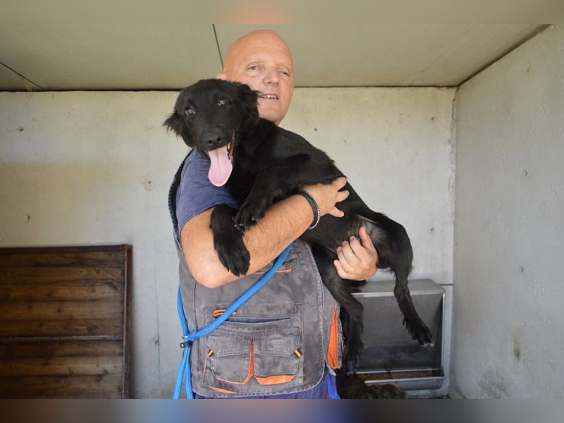 Nerelina - Das Märchen von den fünf Schwestern