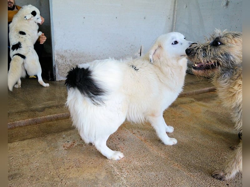 Peeke - Es ist höchste Zeit! Peeke - Es ist höchste Zeit!