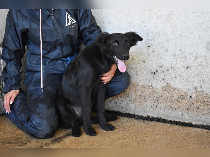 Nerelina - Das Märchen von den fünf Schwestern