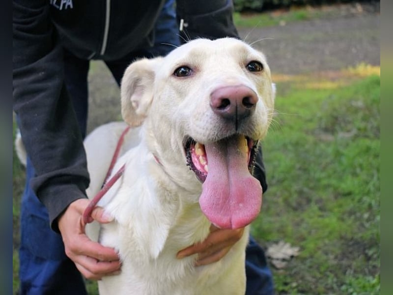 Hadrienne - einmal nur Wärme spüren