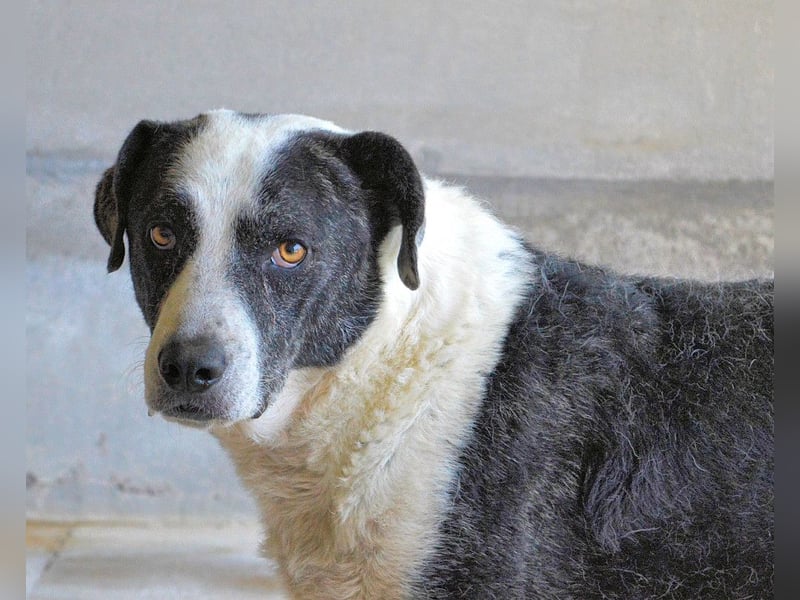 Oldrich - NIE ist einfach zu lang