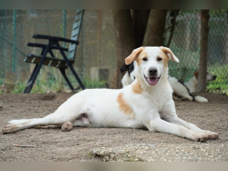 Wafer - Die leise Hoffnung, dass etwas Besseres kommt