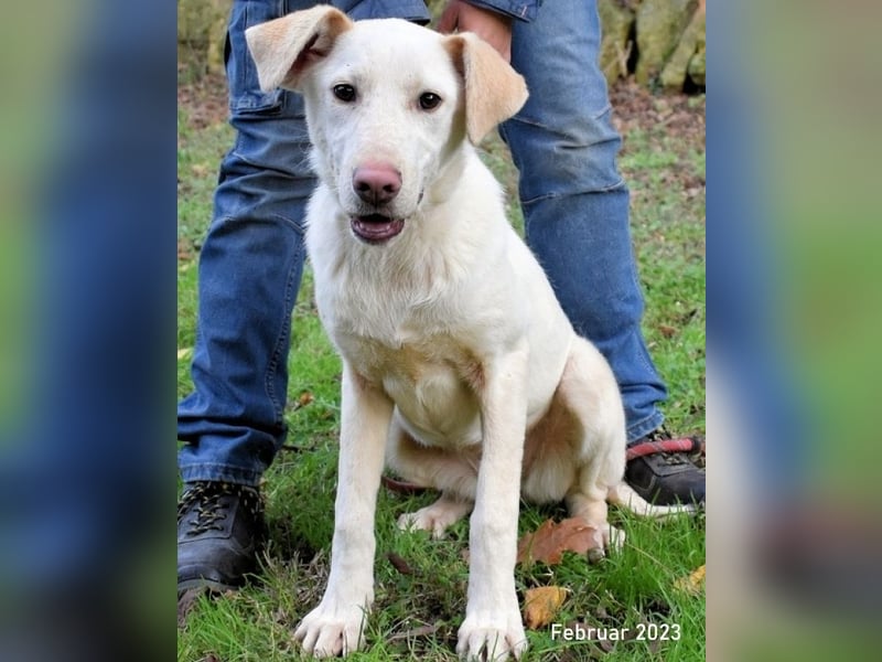 Hadrienne - einmal nur Wärme spüren