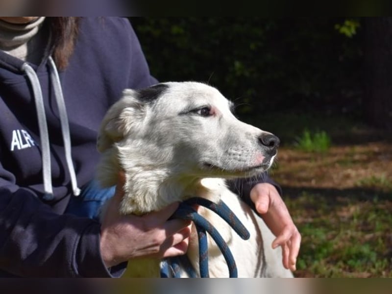 Pattie - Pattie im Vergessen