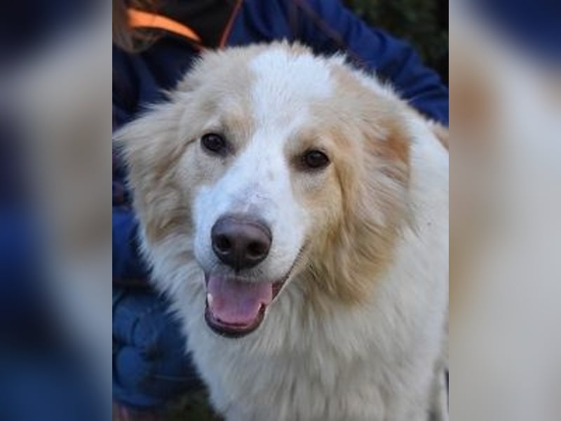 Jury - Powerpaket mit ganz viel Herz im Gepäck