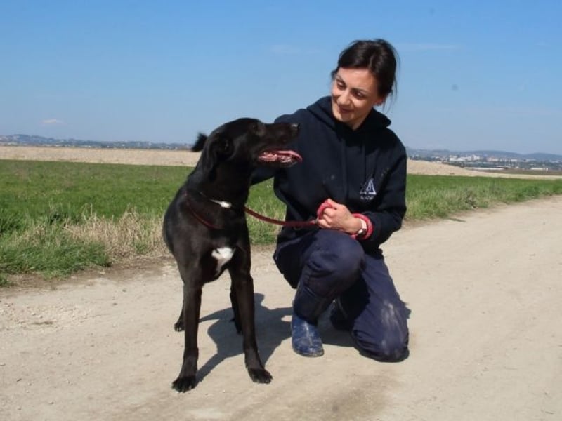 Clodette - Persönlichkeit sucht Führungsqualität!