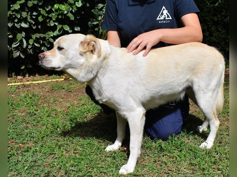 Ulbrecht - Ein kurzer Hauch von Gras