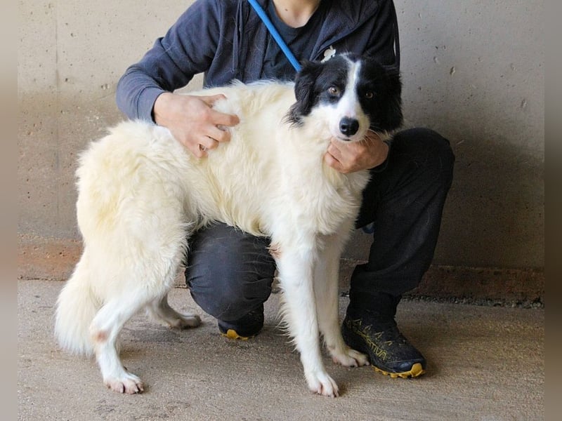 Ghazala - Noch ein bisschen scheu, aber voller Neugier aufs Leben