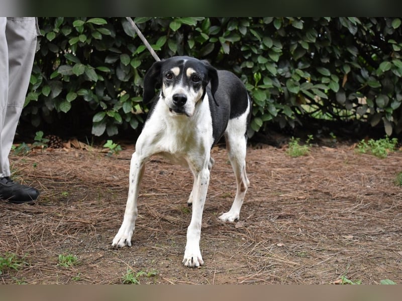 Ericka - NOTFALL - Wie viele Leben brauchst du?