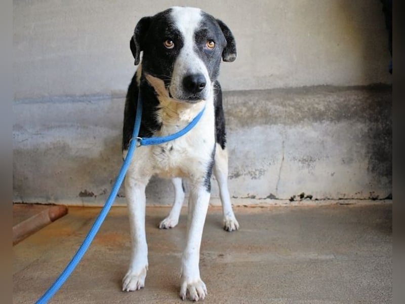 Oldrich - NIE ist einfach zu lang