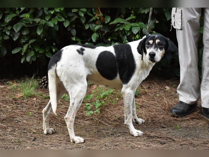 Ericka - NOTFALL - Wie viele Leben brauchst du?