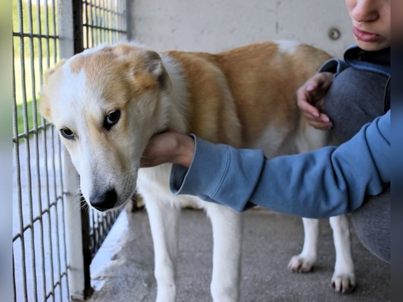 Liuba - sucht ihren Platz im Leben Liuba - sucht ihren Platz im Leben
