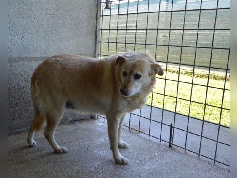 Addison - lange sitzen sie schon da und haben es schwer
