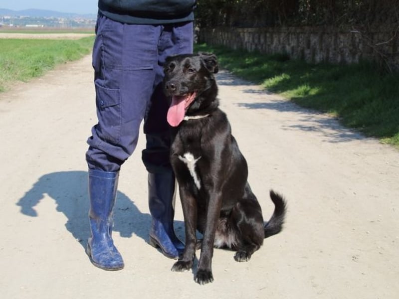 Clodette - Persönlichkeit sucht Führungsqualität!