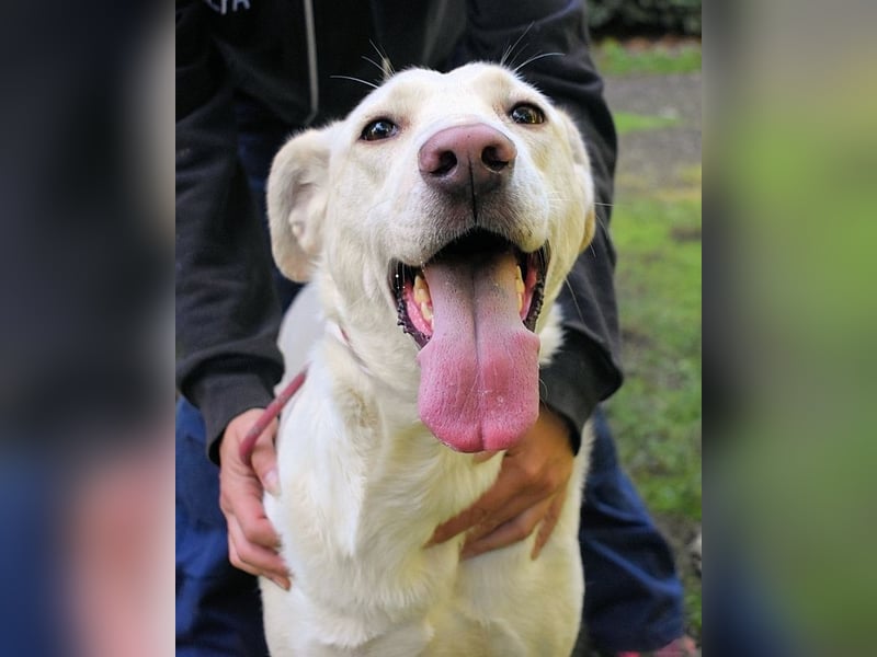 Hadrienne - einmal nur Wärme spüren