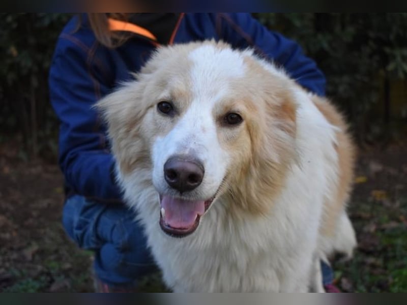 Jury - Powerpaket mit ganz viel Herz im Gepäck