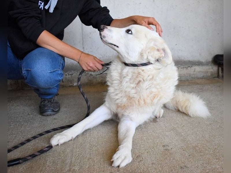 Walcott - Liebesbedürftig und mit einem Wunsch: eine eigene Familie
