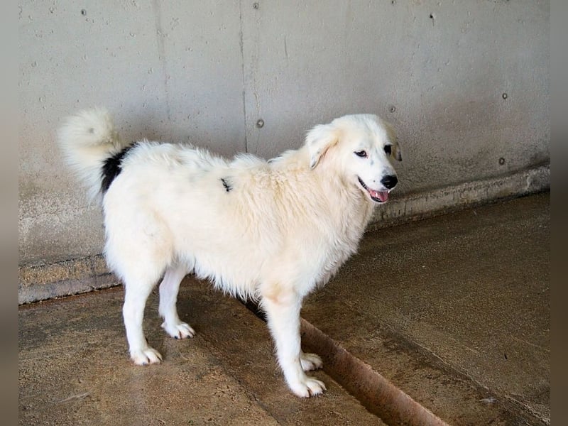 Peeke - Es ist höchste Zeit! Peeke - Es ist höchste Zeit!