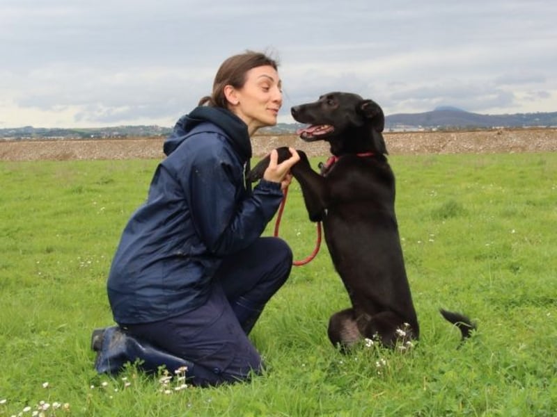 Clodette - Persönlichkeit sucht Führungsqualität!